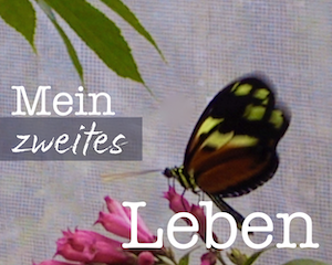 Clubkonzert "Mein zweites Leben" (live im Internet)
